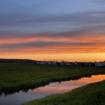 Charmante Maisonnette Proche Plage Et Commerces Блонвиль-сюр-Мер Экстерьер фото